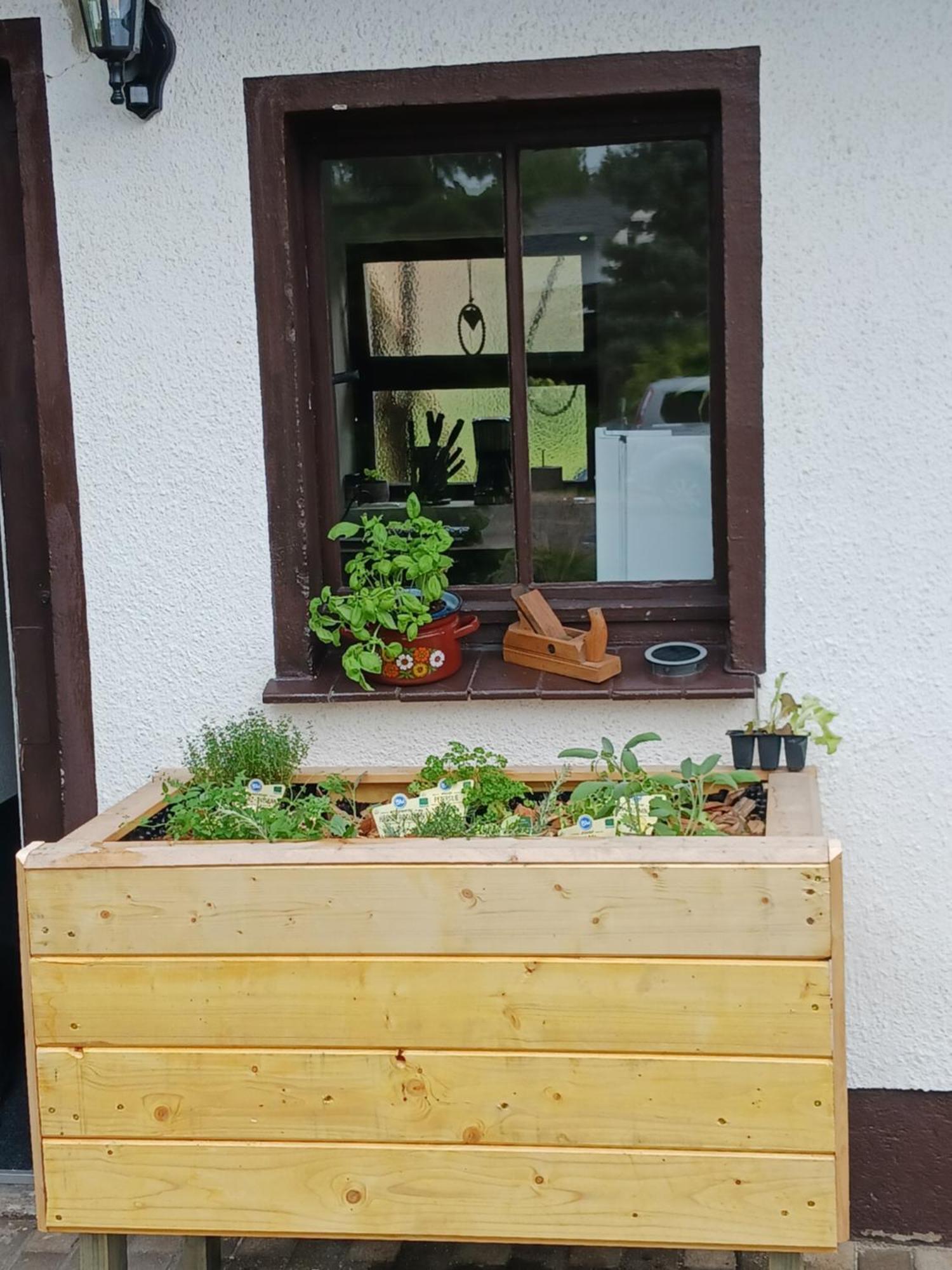 Bei Frieda Mit Und Biker Huetten Am Zittauer Gebirge Appartement *